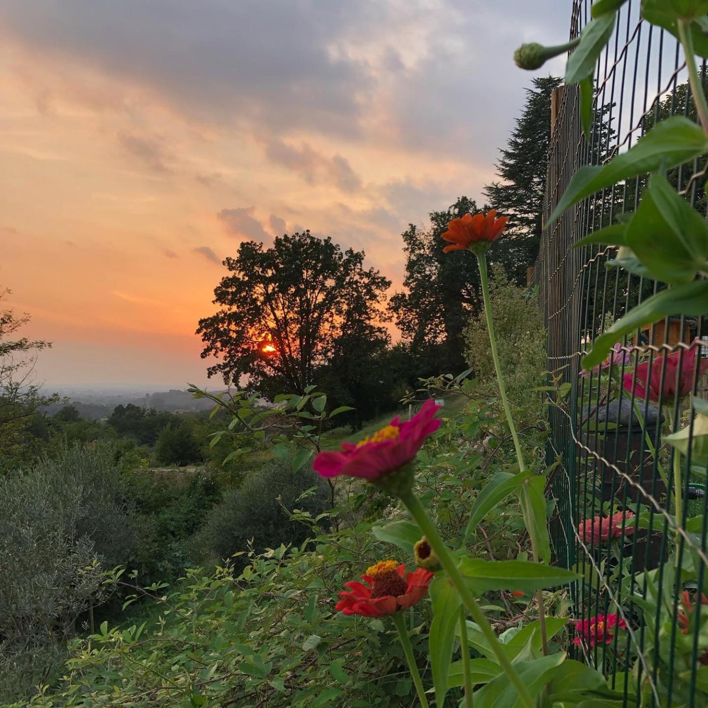 Bed and Breakfast La Casita Eco Country House Faedis Экстерьер фото